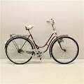 Damcykel