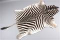 Zebraskind.