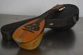 Mandolin