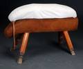 Springbuk, 1900-tallets midte