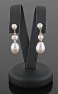 Gold Fresh water pearl earrings. 2.
