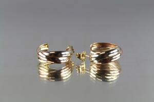 Örhängen i guld 18 k 1 par