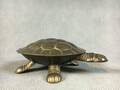 Schatulle in der Form einer Schildkröte Diese Ware steht erneut zur Auktion unter der Warennummer 4390170