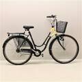 Damcykel