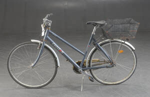 Everton, damecykel, 5449