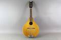 Mandolin