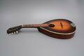 Mandolin, Levin
