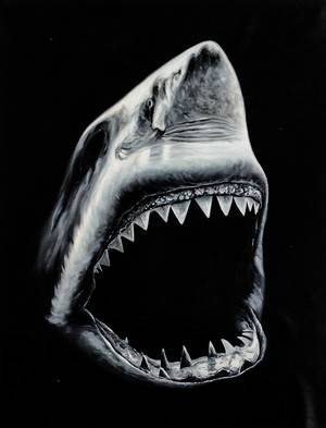 Hajmotiv, olja på duk, Shark I