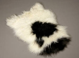 Økologisk islandsk fåreskind