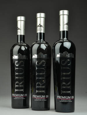 24 flasker IRIUS premium 2009, Somotano Spain 24 
