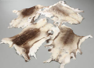 Sæt rensdyrskind. 4