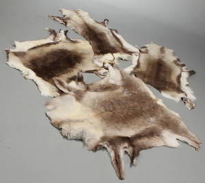 Sæt rensdyrskind. 4