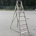 Trästege