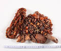 Samling uforarbejdet rav, ca. 310 gram