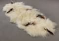Økologisk Islandsk forligger, fåreskind - long wool. Farve Hvid med sortbrune spots