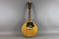 Mandolin
