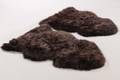 To New Zealandske lammeskind. Farve Chocolate. 2