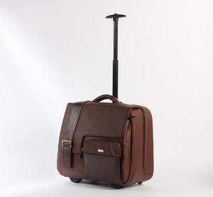 Apples. Rejsetaske i brun læder.