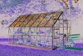 Halls drivhus Magnum 148 11,5 m2 med 3 mm glas