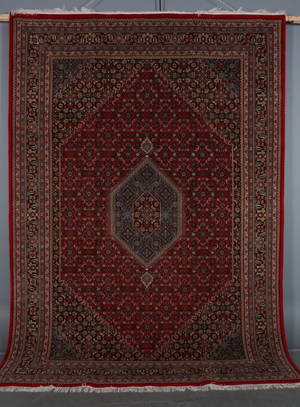 Kashmir Bidjar, 248 x 352 cm