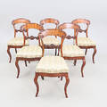 STOLAR 6 st, mahogny, 1800-tal.