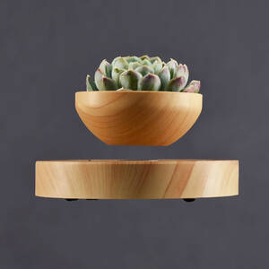 SVÄVANDE BLOMKRUKA No Gravity, trä