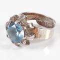 SILVERRING K-E Palmberg, Alton