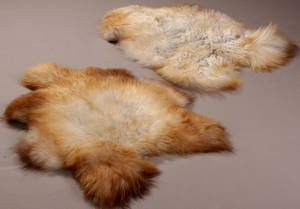 Økologisk islandsk fåreskind 2