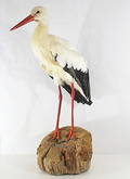  UPPSTOPPAD VIT STORK.