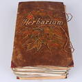  HERBARIUM, 1900-talets första hälft.