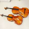 Celli