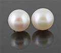 Gold fresh water pearl earrings  