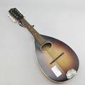 Mandolin Levin