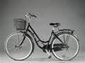 Kildemoes, damecykel. 
