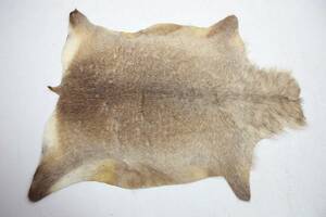 KOHUD