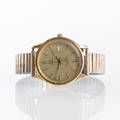 ARMBANDSUR