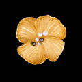 BROSCH