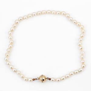 COLLIER