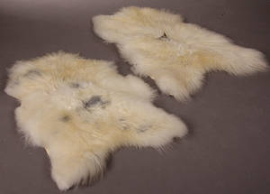 Økologisk islandsk fåreskind 2