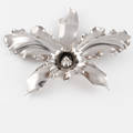 BROSCH