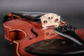 Violin i kasse med bue samt talrige ekstra strenge