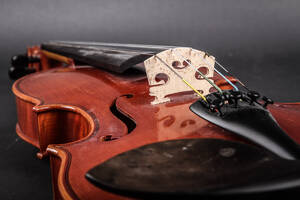 Violin i kasse med bue samt talrige ekstra strenge