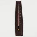 TERMOMETER, skinnklädd