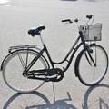 Damcykel Monark