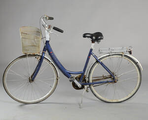 Kildemoes, damecykel. 598-16