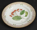 Flora Danica middagstallerken 203549 1. sort. 