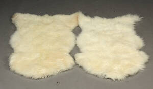 Danske lammeskind, hvide 2 