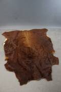 Kohud