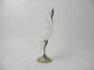 Glasfågel, näbb naggad