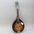 Mandolin